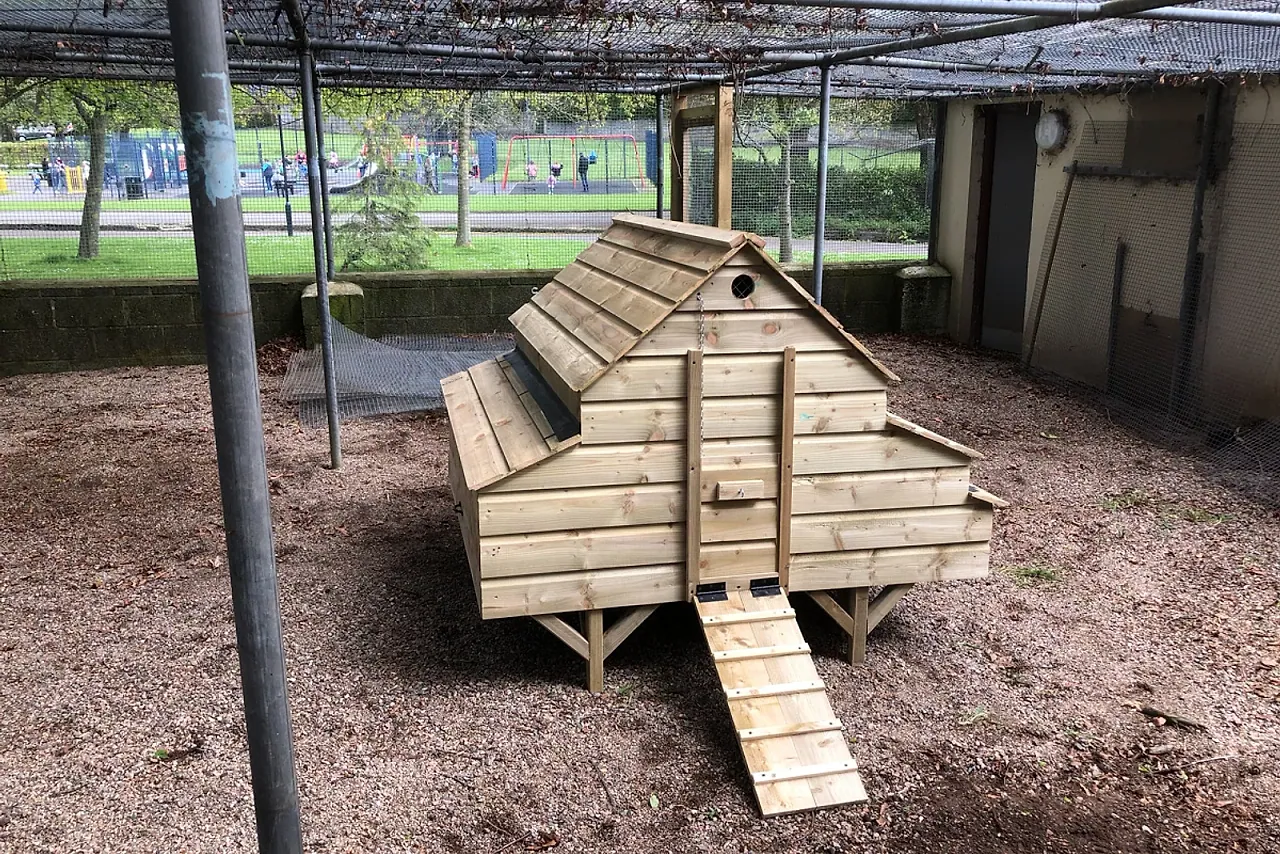 Abbey Coop — flagship large coop with nest boxes, garden setting.