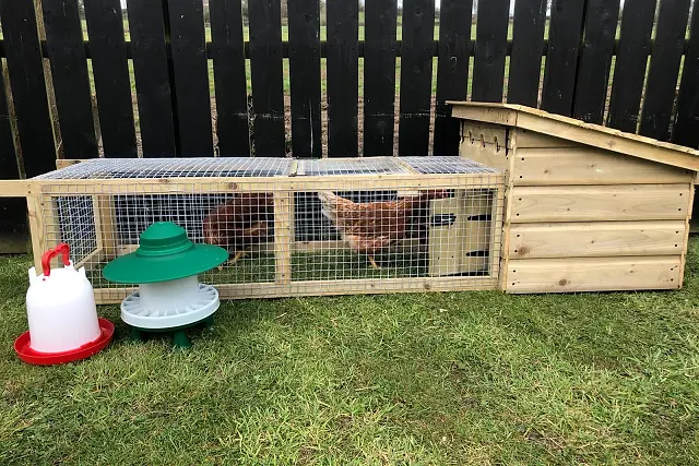Budget Ranger — compact starter coop and run, garden setting.