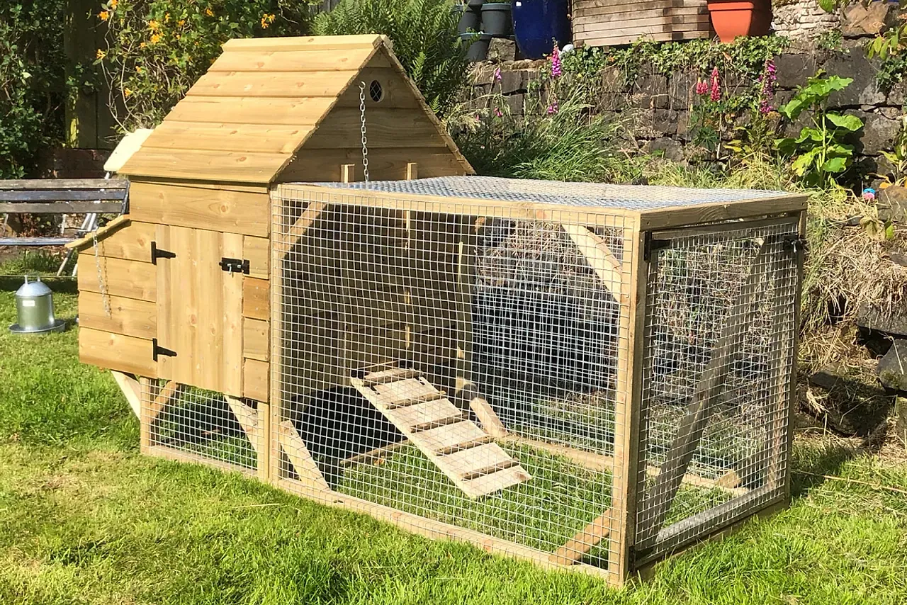 Ranger Coop with integrated run in a real garden, even light, hero angle.