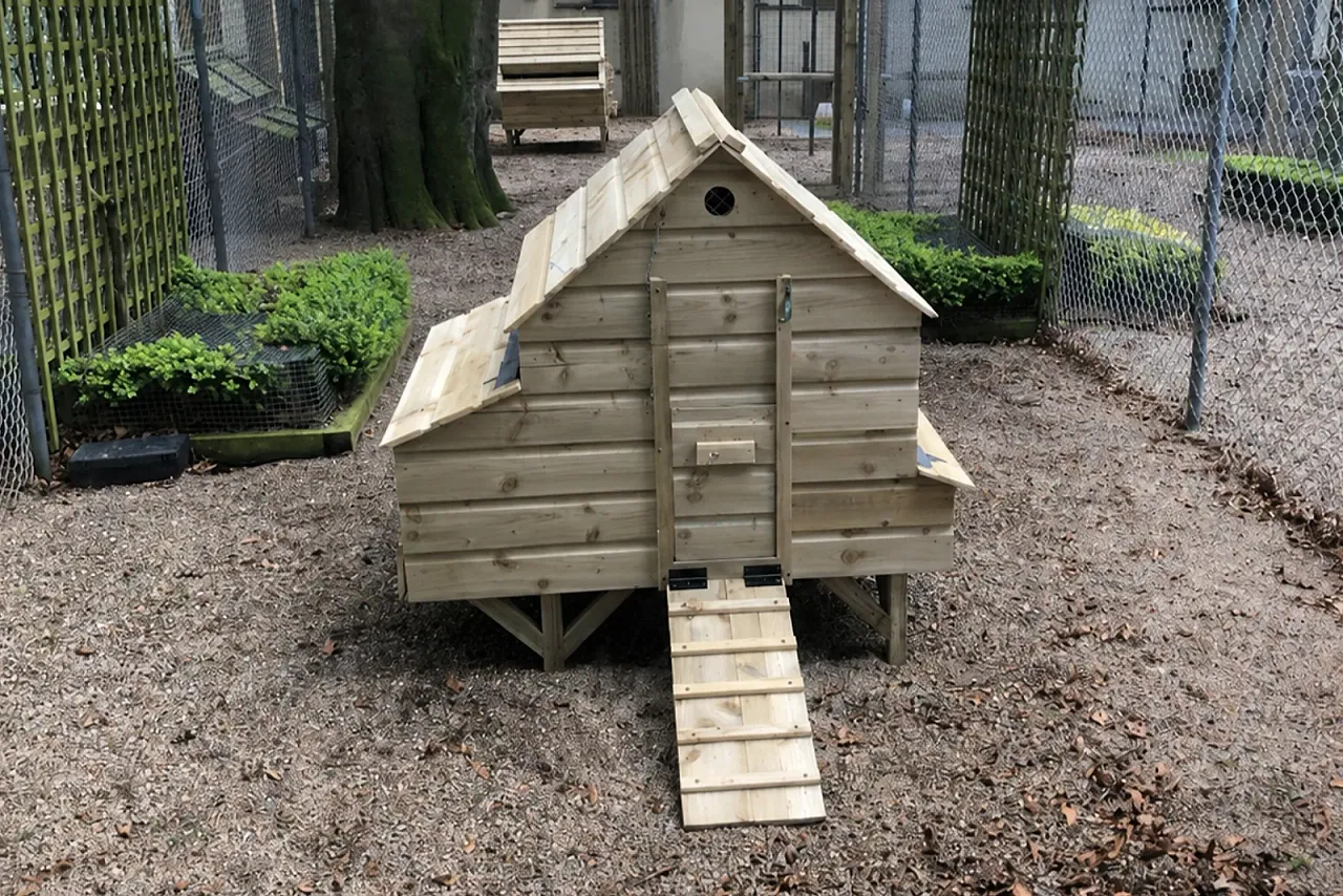 Station House Coop — garden setting.