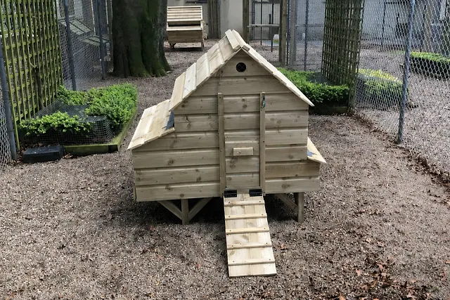 Station House Coop — Medium-sized coop offering comfortable, secure housing for a flock of 6–9 hens.